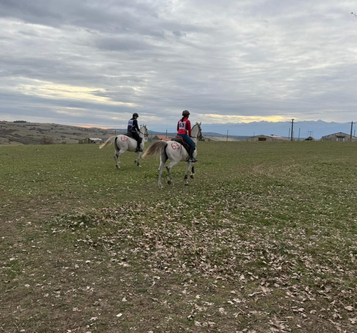 Sikeres szereplés a romániai távlovas bajnokság döntőjén