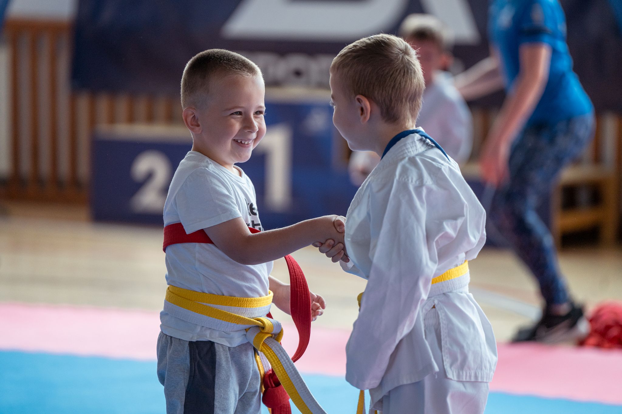 Barátságos Háziverseny