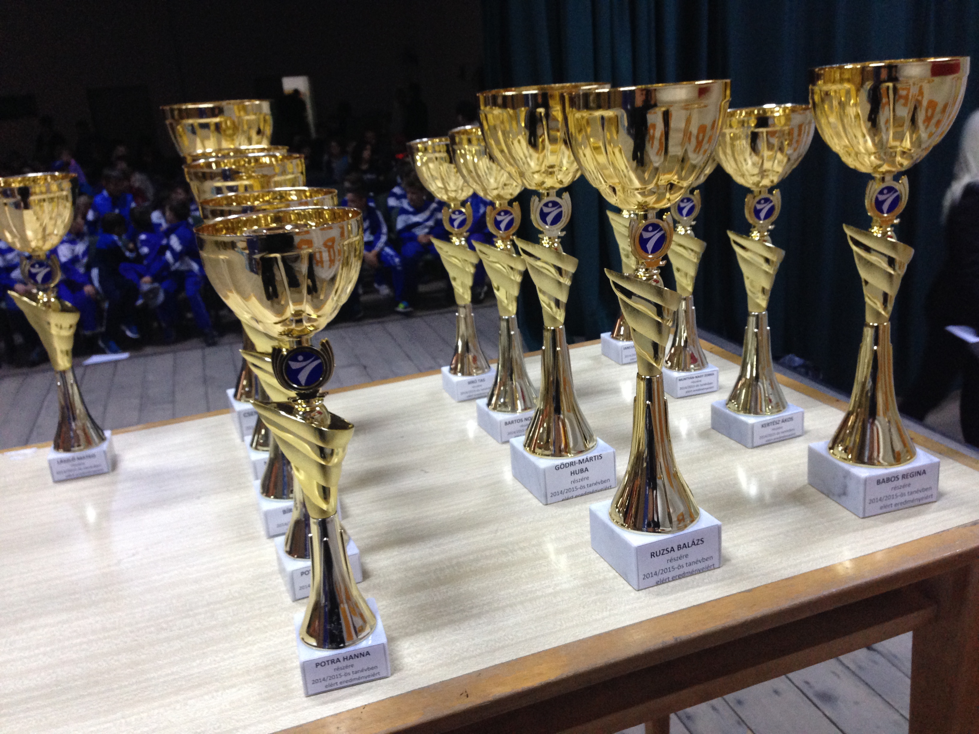 Legeredményesebb sportolónik